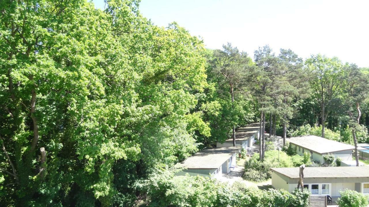 Waldschloss Parow Koserow Luaran gambar