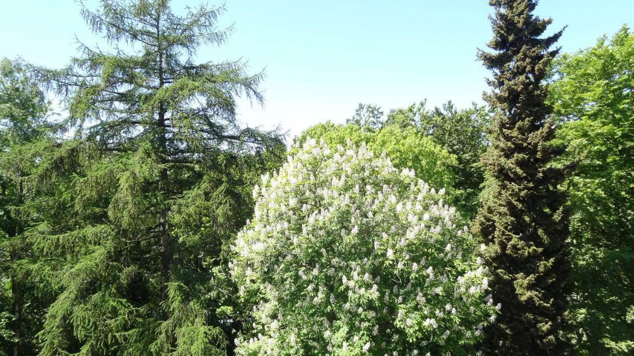 Waldschloss Parow Koserow Luaran gambar